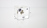 Iron element encased in a clear acrylic cube, featuring its name, atomic number, and key properties from the periodic table. A striking and educational display for science enthusiasts and collectors