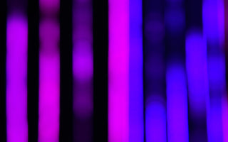 What is a black light flashlight?