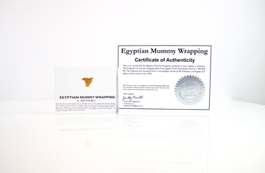 Clear acrylic display case featuring fragments of Egyptian mummy wrappings, offering a historical and educational presentation for collectors and those interested in ancient history.