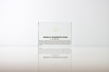 Close-up of a fragment of mammoth hair embedded in clear acrylic. The hair is coarse and dark, with visible texture and fibers, offering a glimpse into the ancient past of this prehistoric animal.