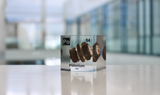 Clear acrylic cube displaying a Polonium element (Atomic Number 84) embedded within, offering a scientific presentation for collectors and science enthusiasts.