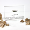 Close-up of ash from Pompeii, contained in a glass ampule and embedded in clear acrylic. The ash is fine and grayish, offering a tangible link to the historic eruption of Mount Vesuvius and the ancient city of Pompeii.