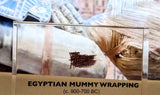 Clear acrylic display case featuring fragments of Egyptian mummy wrappings, offering a historical and educational presentation for collectors and those interested in ancient history.